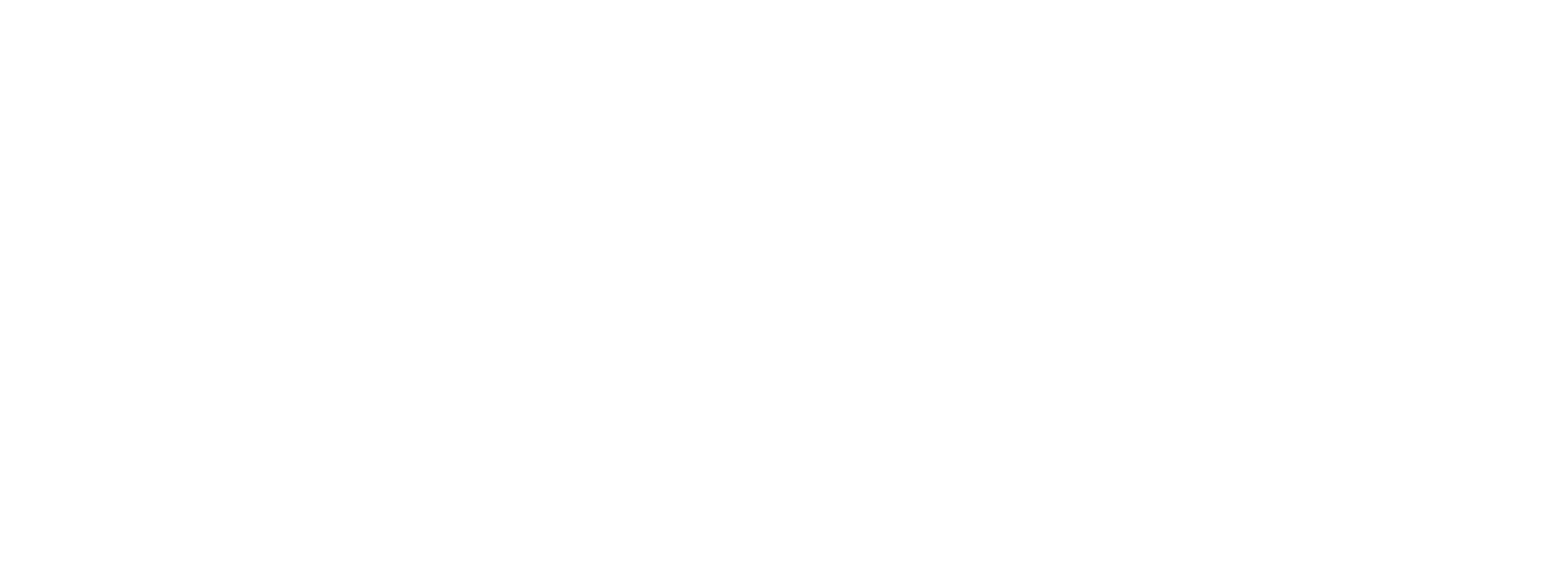 TEMM SpA